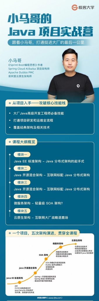 极客大学：小马哥的 Java 项目实战营